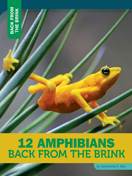 Title details for 12 Amphibians Back From the Brink by Samantha S. Bell - Available